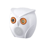 Ultra Loud Voice Alarm & Intelligent Humanoid Recognition Alarm Big Horn Owl Cartoon AI  HD WIFI camera 