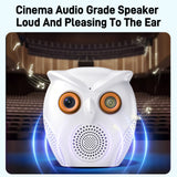 Ultra Loud Voice Alarm & Intelligent Humanoid Recognition Alarm Big Horn Owl Cartoon AI  HD WIFI camera 